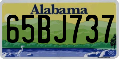 AL license plate 65BJ737