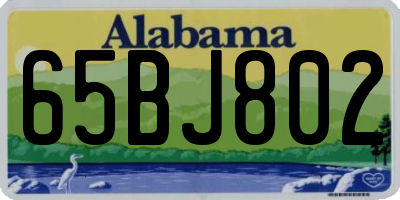 AL license plate 65BJ802