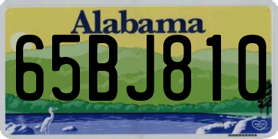 AL license plate 65BJ810