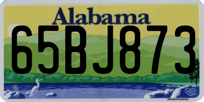 AL license plate 65BJ873