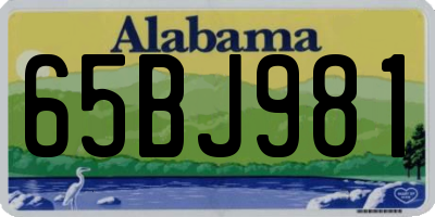 AL license plate 65BJ981