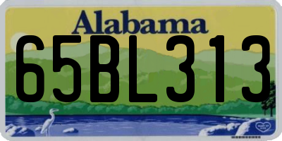 AL license plate 65BL313