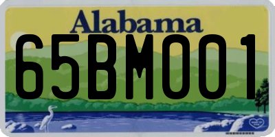 AL license plate 65BM001