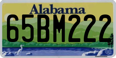 AL license plate 65BM222