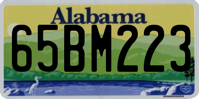 AL license plate 65BM223