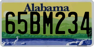 AL license plate 65BM234