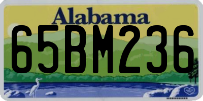 AL license plate 65BM236