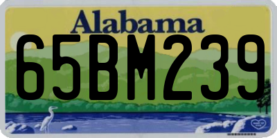 AL license plate 65BM239