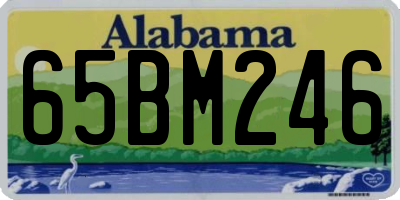 AL license plate 65BM246