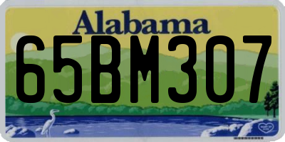 AL license plate 65BM307