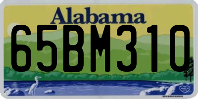 AL license plate 65BM310