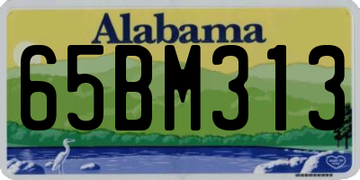AL license plate 65BM313