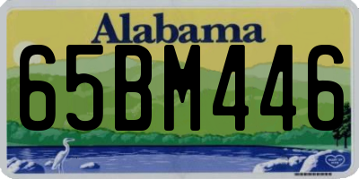 AL license plate 65BM446
