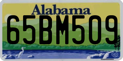 AL license plate 65BM509