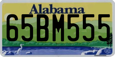 AL license plate 65BM555