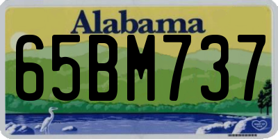 AL license plate 65BM737