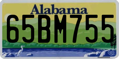 AL license plate 65BM755