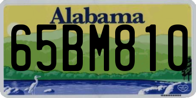 AL license plate 65BM810