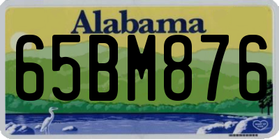 AL license plate 65BM876