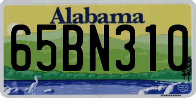 AL license plate 65BN310