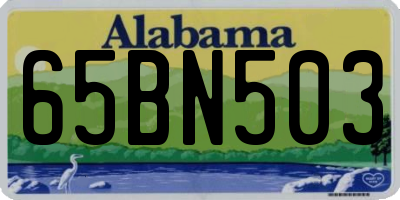 AL license plate 65BN503
