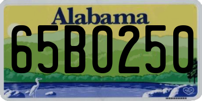 AL license plate 65BO250