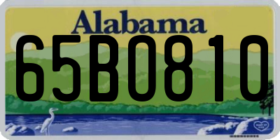 AL license plate 65BO810