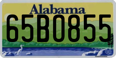 AL license plate 65BO855