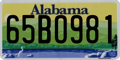 AL license plate 65BO981