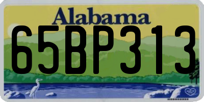 AL license plate 65BP313