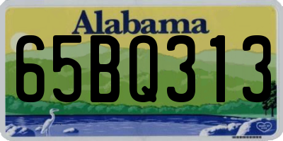 AL license plate 65BQ313