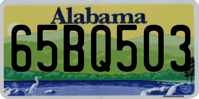 AL license plate 65BQ503