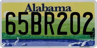 AL license plate 65BR202