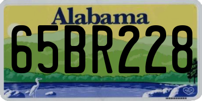 AL license plate 65BR228