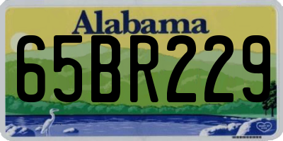AL license plate 65BR229