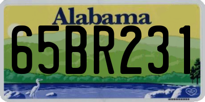 AL license plate 65BR231