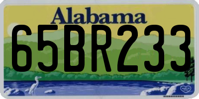 AL license plate 65BR233