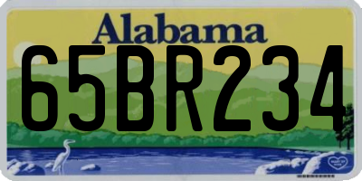 AL license plate 65BR234