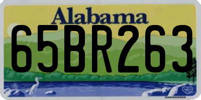 AL license plate 65BR263