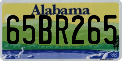 AL license plate 65BR265