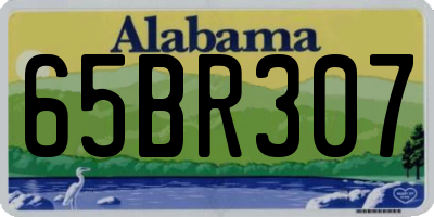 AL license plate 65BR307