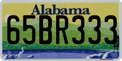 AL license plate 65BR333