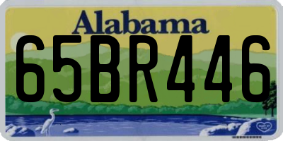 AL license plate 65BR446