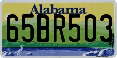 AL license plate 65BR503