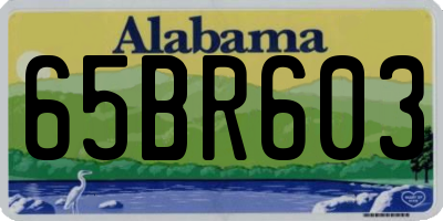AL license plate 65BR603