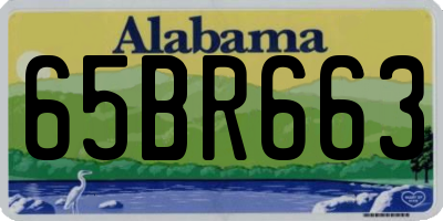 AL license plate 65BR663