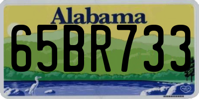 AL license plate 65BR733