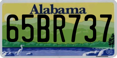 AL license plate 65BR737