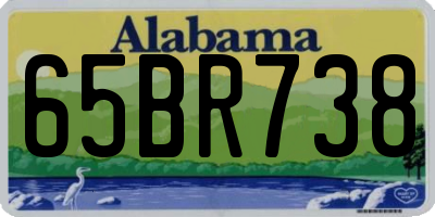 AL license plate 65BR738