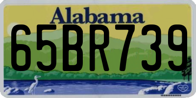 AL license plate 65BR739